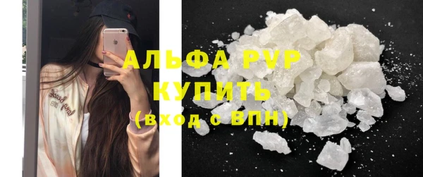 не бодяженный Иннополис