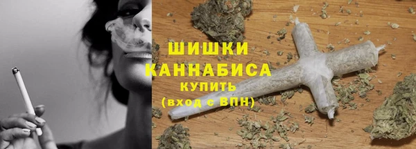 тгк Инта