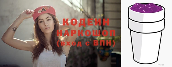 тгк Инта