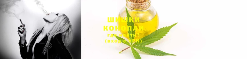 тгк Инта