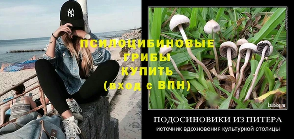 тгк Инта