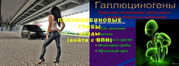 тгк Инта