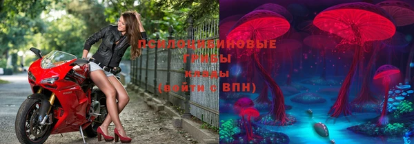 тгк Инта