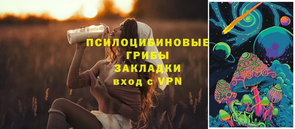 тгк Инта