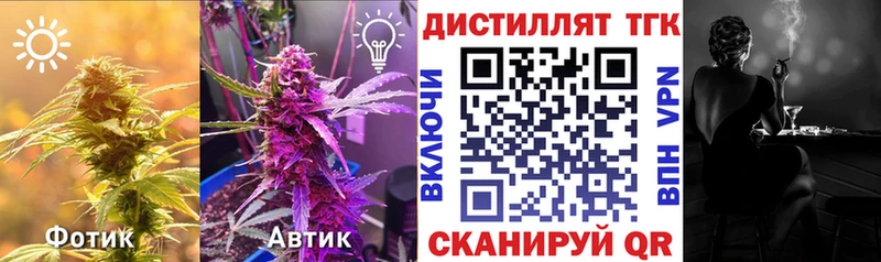 ТГК THC oil  Купить закладки  Будённовск 