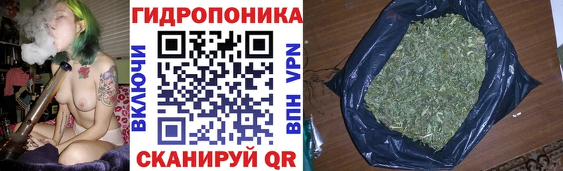 Марихуана AK-47  Купить закладки  Будённовск 